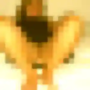 Photo de Djamilatou à Emmerin (34 ans) - plan cul anonyme