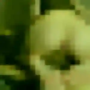 Profil de Dieynaba à Entzheim (27 ans) - plan cul gratuit
