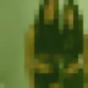 Photo sexy de Saffie, 24 ans à Éperlecques - rencontre coquine