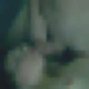 Félicité, 39 ans, dispo pour plan cul à Épône
