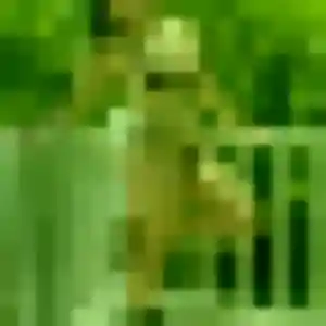 Photo de Quetsia à Éréac (42 ans) - plan cul gratuit