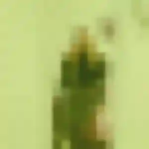 Bérénice de Estrées-Mons, 29 ans - plan cul en toute liberté