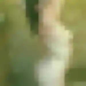 plan cul à Fagnières : photo de Miriam, 38 ans - accès libre
