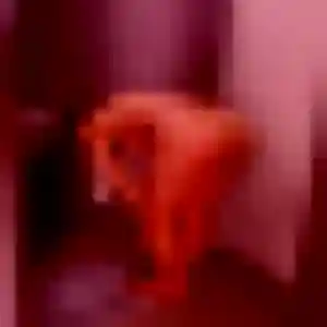 Photo exclusive de Carine, 45 ans à Falaise - rencontre sans lendemain
