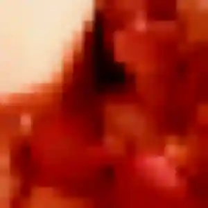 Photo exclusive de Noémie, 38 ans à Fameck - rencontre sans lendemain