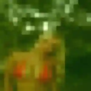 Photo sexy de Nafi, 45 ans à Feneu - plan discret
