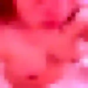 Noémie, 32 ans, connectée à Fiquefleur-Équainville pour une rencontre coquine
