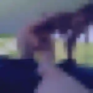Cindy, 32 ans, en ligne à Flaujac-Poujols pour une rencontre coquine