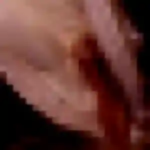 Precious (29 ans) à Flourens cherche une rencontre ce soir