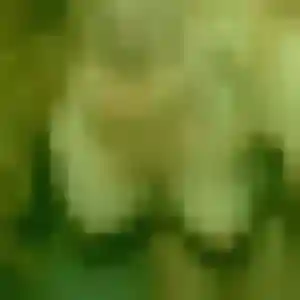 Photo sexy de Nneka, 25 ans à Fresnoy-en-Thelle - rencontre sans lendemain