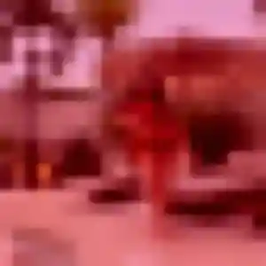 Grace, fille de 45 ans cherche plan cul à Fressenneville
