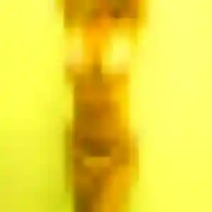 Photo de Nyima à Frontenac (37 ans) - plan cul anonyme
