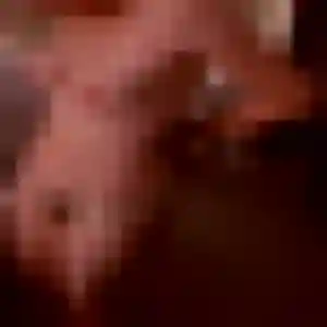 Bousso, fille de 26 ans cherche plan cul à Frontenex