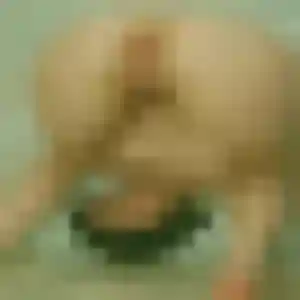 plan cul à Gaël : photo de Omolara, 36 ans - inscription gratuite