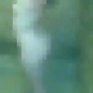 Découvre Nana, 43 ans à Garlin en t'inscrivant