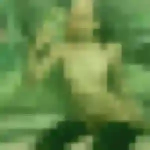 Photo exclusive de Bigué, 25 ans à Gauchin-Verloingt - plan discret