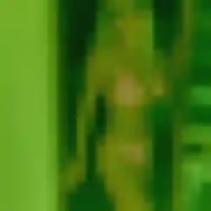 plan cul à Gestel : profil de Amoin, 36 ans - inscription gratuite