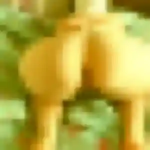 Ursula, femme de 24 ans cherche plan cul à Grambois