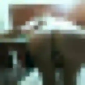 Linda, 43 ans, dispo pour plan cul à Grézillac