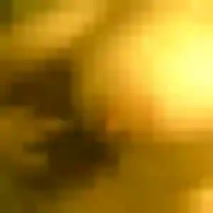 Contacte Neema, 35 ans à Grillon gratuitement