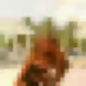 Adjoavi, 25 ans, dispo pour plan cul à Hamelet