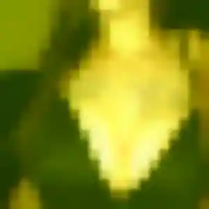 Nathalie (40 ans) à Hanches propose une rencontre aujourd'hui