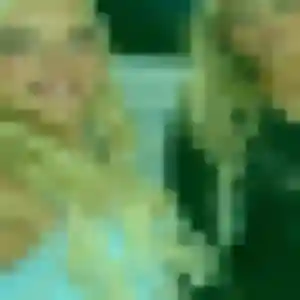 Photo perso de Zoé, 44 ans à Hordain - plan discret
