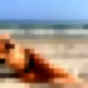 Sexy Upendo, 42 ans à Houssen - la contacter