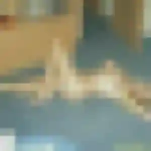 Photo de Saffie à Houtaud (38 ans) - plan cul sans inscription