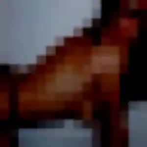 Profil de Naomie à Irissarry (33 ans) - plan cul gratuit