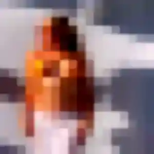 Photo perso de Zaïna, 38 ans à Iteuil - plan discret