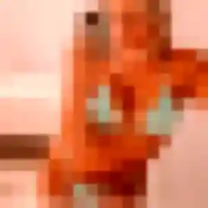 Photo de Nadia à Jarville-la-Malgrange (23 ans) - plan cul anonyme