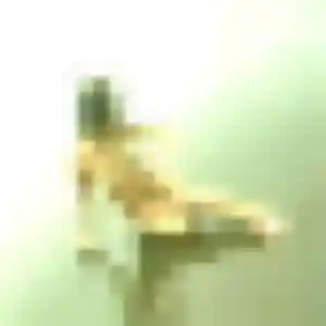 Photo privée de Wilda, 24 ans à Jenlain - plan discret