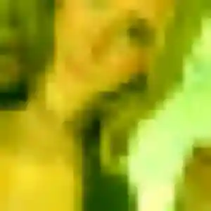 Photo sexy de Célestine, 23 ans à Jœuf - plan discret