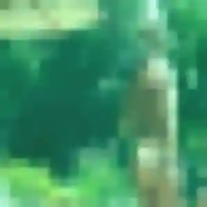 Photo perso de Adélaïde, 44 ans à Joigny-sur-Meuse - rencontre coquine