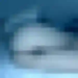Contacte Prisca, 38 ans à Joué-en-Charnie en privé