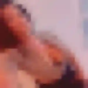 Photo de Selbé à Jouy-en-Josas (26 ans) - plan cul discret