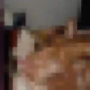 Ramata, femme de 36 ans cherche plan cul à Kalhausen