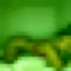 Shérazade, 33 ans, disponible à Kerfot pour une rencontre coquine
