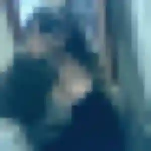 Ténin, femme de 27 ans propose plan cul à Kurtzenhouse