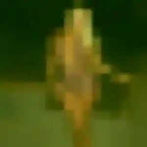 Photo perso de Soda, 27 ans à L'Escarène - rencontre coquine