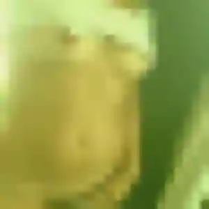 Élise (27 ans) à La Baffe cherche une rencontre ce soir
