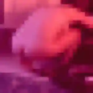 Photo sexy de Chiamaka, 34 ans à La Bassée - rencontre coquine