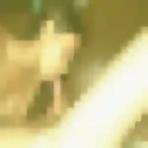 Profil de Bousso à La Bastide-sur-l'Hers (35 ans) - plan cul gratuit