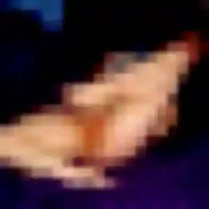 Photo de Saffie à La Bollène-Vésubie (26 ans) - plan cul gratuit