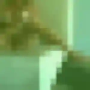 Dado, 42 ans, dispo pour plan cul à La Chapelle-Vendômoise