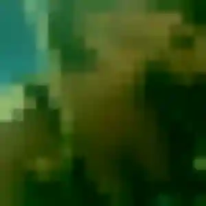 Photo de Zara à La Châtaigneraie (37 ans) - plan cul anonyme