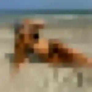 Nyambura, 26 ans, dispo pour plan cul à La Flamengrie