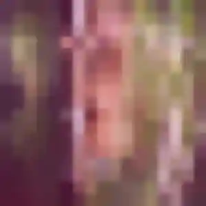 Profil de Diane à La Mothe-Saint-Héray (30 ans) - plan cul gratuit