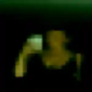 Photo de Isatou à La Possession (32 ans) - plan cul anonyme